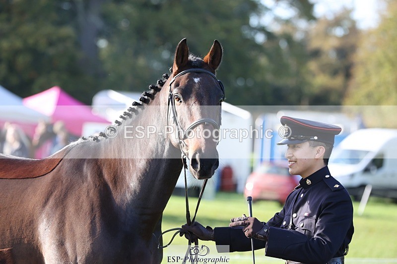 241027-102058-15828 - 517-Lieutenant.Brian.Leung-RL.SHIVA