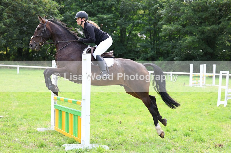 3E7A6933 - Class 5: Senior British Novice/90cm open