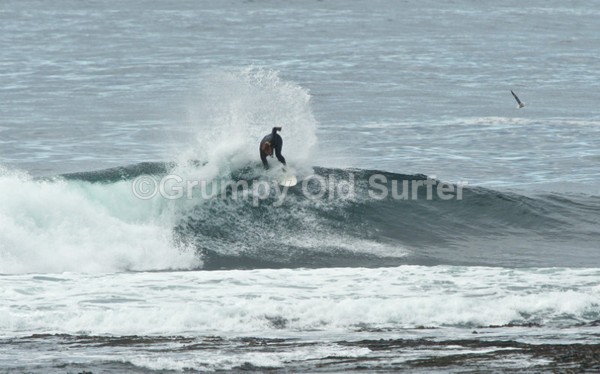 DSC_5378 - Brim Ness 15th August 2015