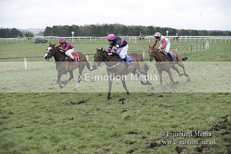PtP 150320 0872 - New Forest Point-to-Point Larkhill 15/03/20