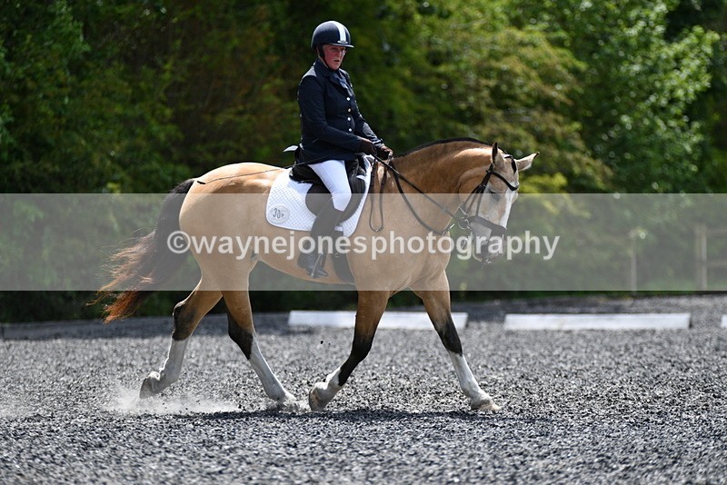 WJ5_0577 - Time 12:24 to 13:01