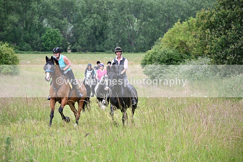 WJ6_8377 - Camera 1 Gallops
