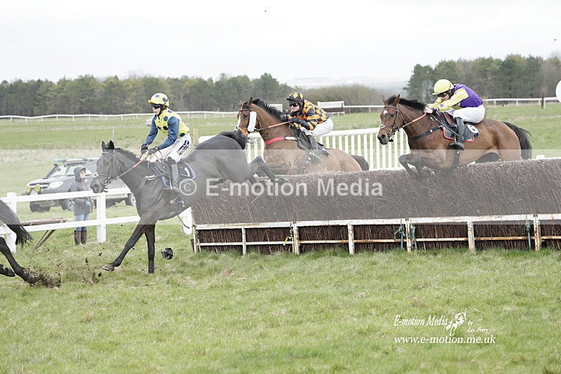PtP 260323 0811 - New Forest Hounds Point-to-Point Larkhill 26/03/23