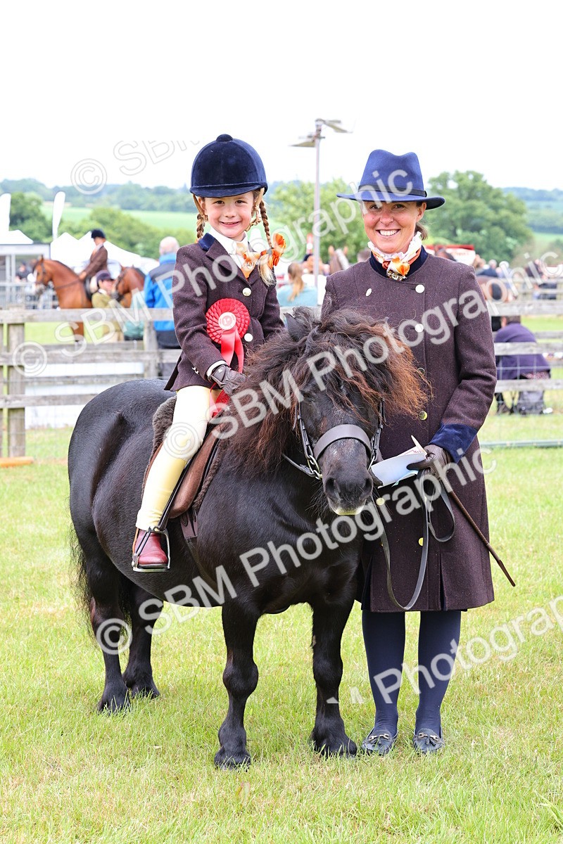SBM_08355 - Class 42-43 - LIHS BSPS Heritage Working Sports Pony