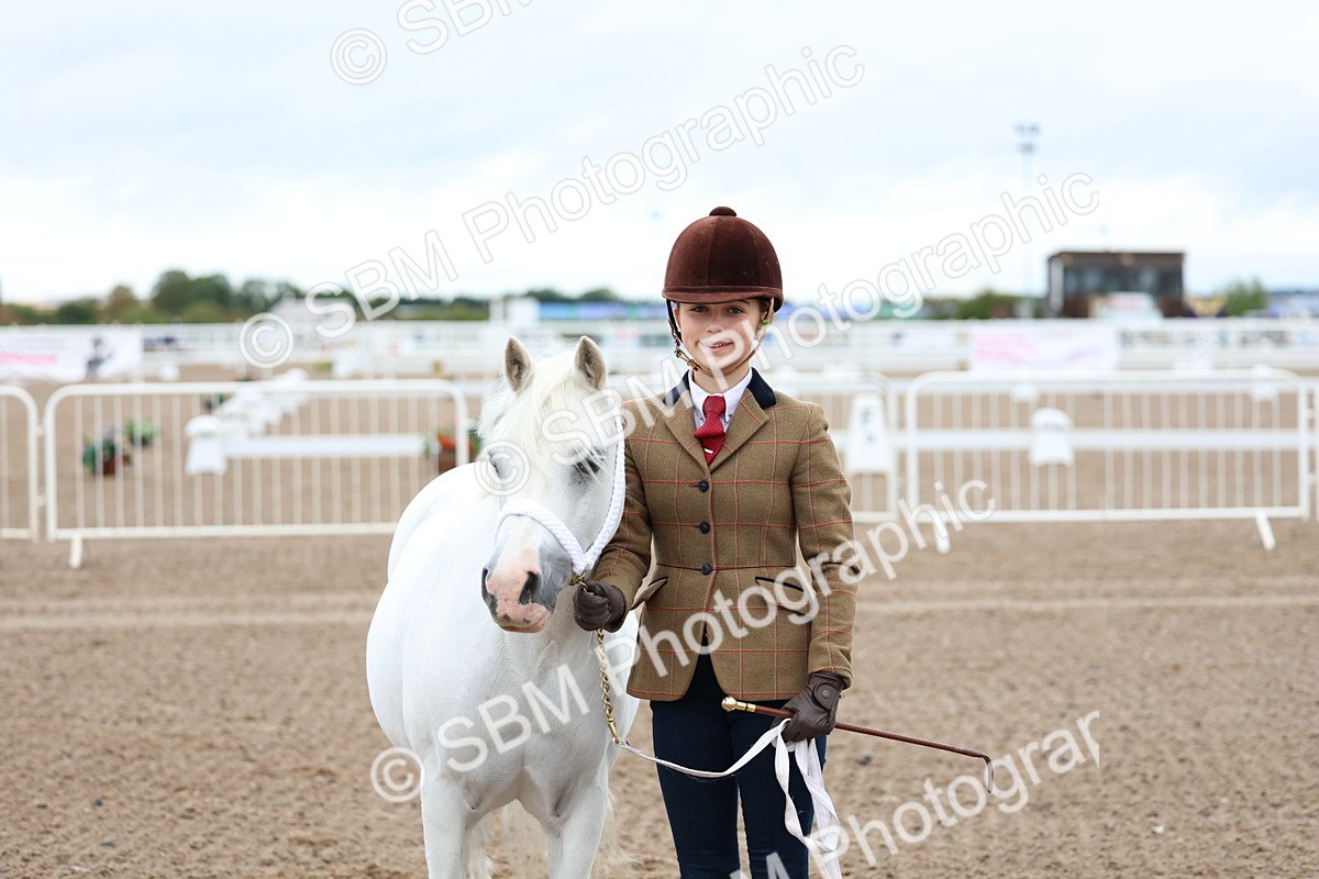 SBM_00257 - Class 13 - Young Handler
