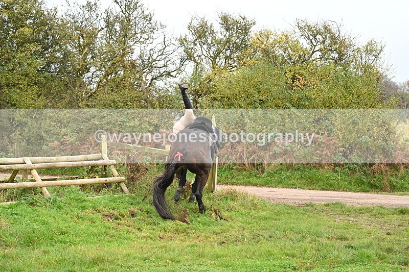 WJ7_0429 - Camera 1 & Last fence