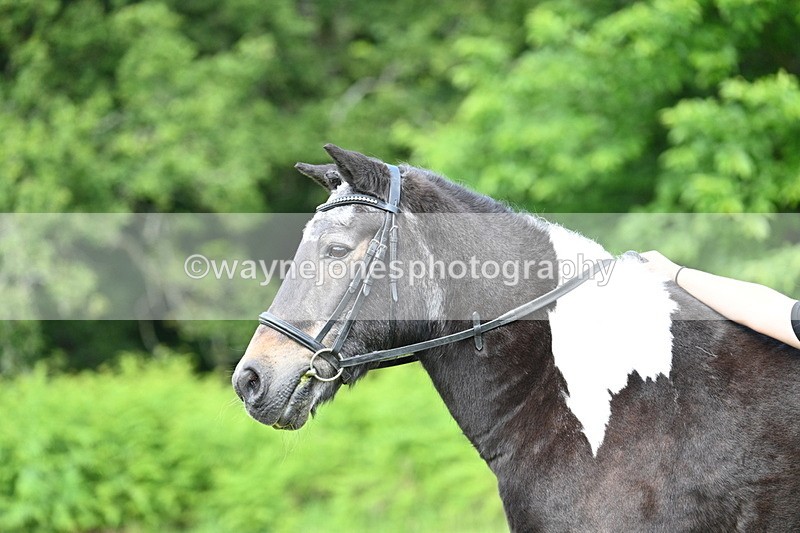 WJ7_1639 - Class 11 Condition & Turnout