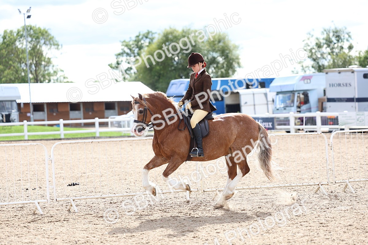 SBM_17550 - Class 316 - Best Pony - Rider Combination
