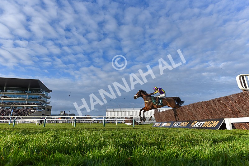 141224-Race 4-Le Patron-9421 - Race 4