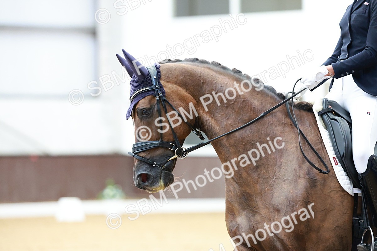 SBM_017701 - Class 15 - FEI Junior