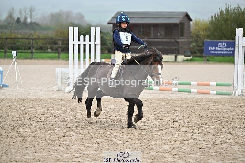 241110-093924-00036 - 40cm Showjumping