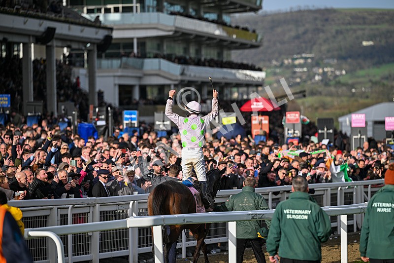 130326-Race 5-Gaelic Warrior-2797 - 13th March