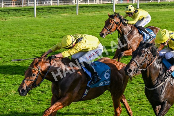 111025-Race 5-Morshdi-0557 - Race 5 Coral 'We're Here For It' EBF Maiden Stakes at York