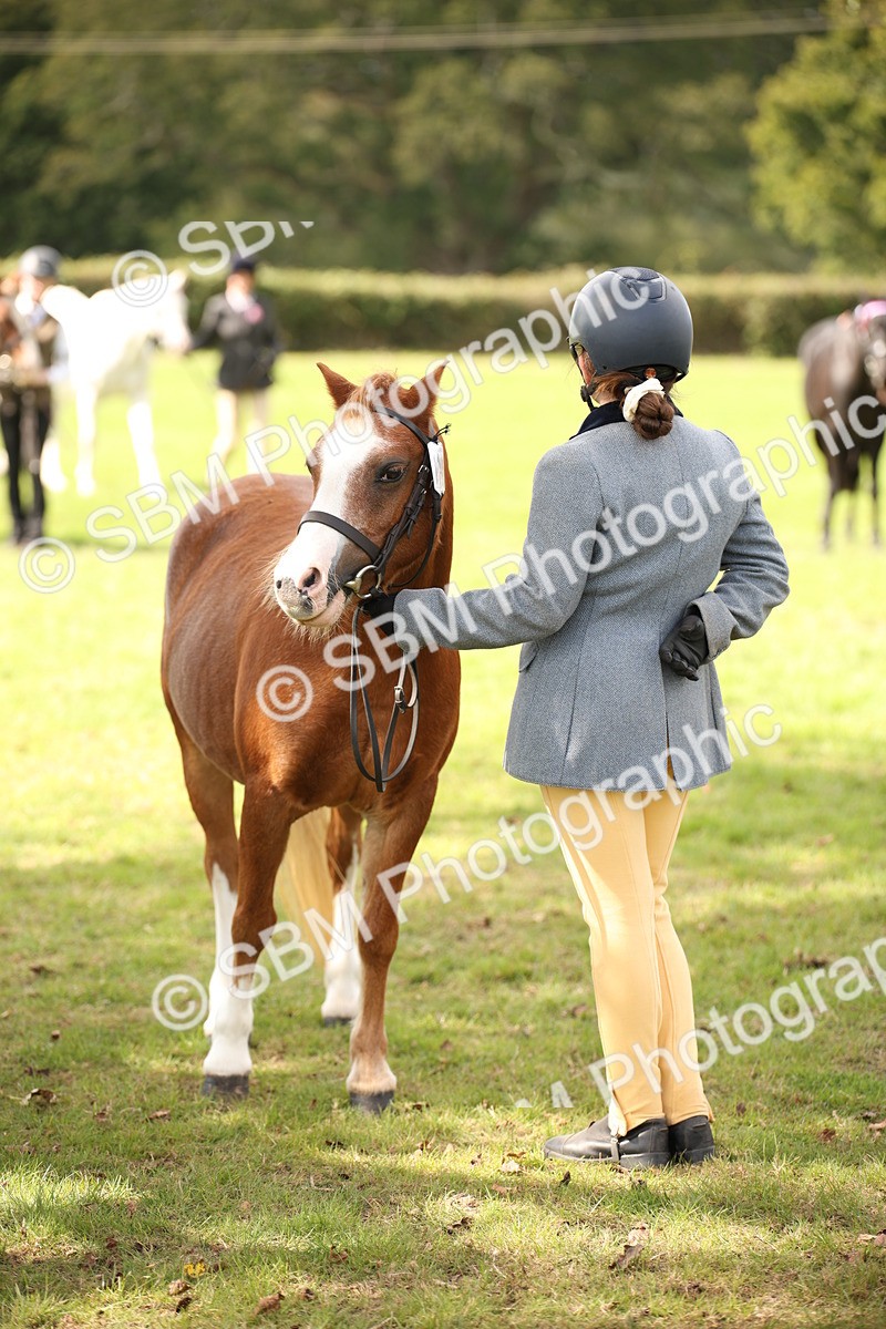 SBM_44506 - S24 - Young Veteran in hand