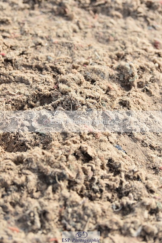 231013A-121036-01581 - Cls 2 95cm Amateur Quali