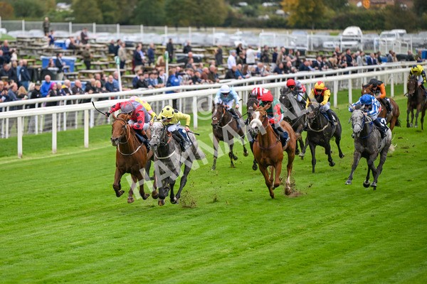 101025-Race 1-Ice Max-6172 - Race 1 William Hill Autumn Mile Handicap at York