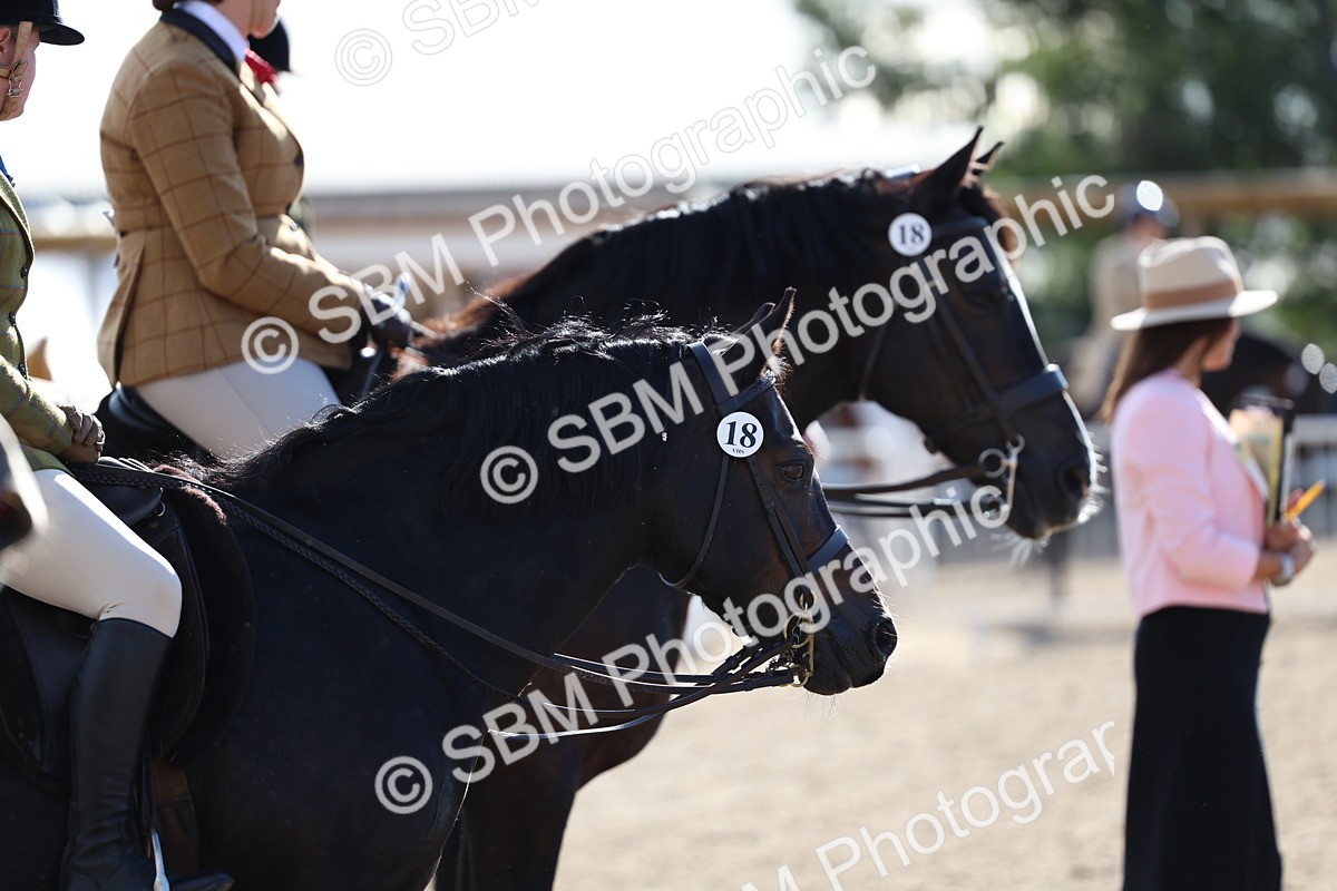 SBM_08945 - Class 302 - Ridden M&M - Large Breeds