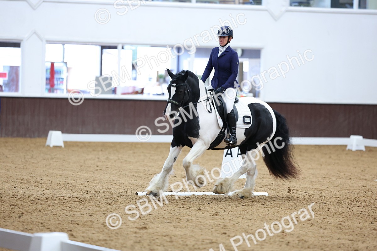 SBM_002273 - Novice 2