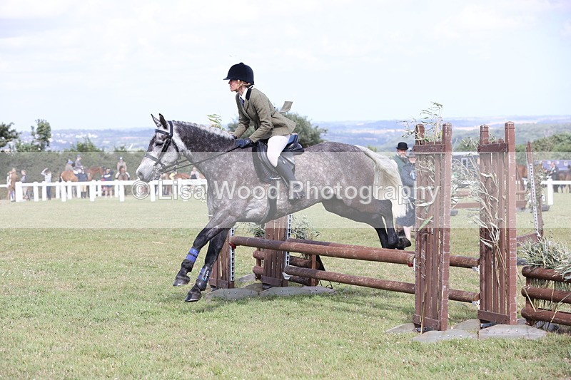 JPP_2595 - Class 20: Working Hunter 70cm