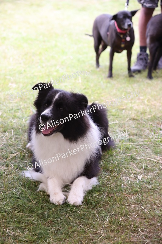 20250607-0247 - Class 5 - Trick and Treat