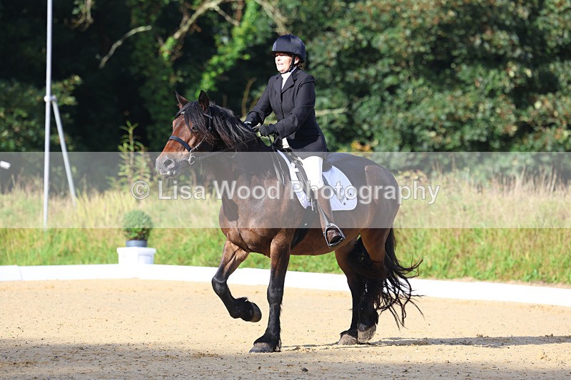 3E7A1839 - Class 1: Intro 4 2024 section A