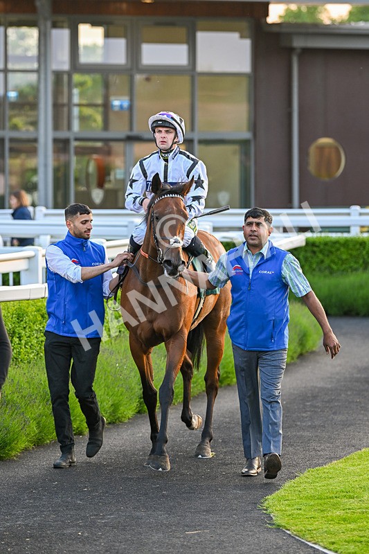 310524-Race 5-Dusk Dame-8966 - Race 5