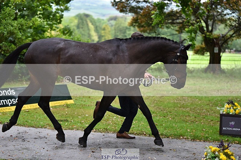 240522-152202-00288 - 325-MIDNIGHT_ENDEAVOUR-Tom_Jackson