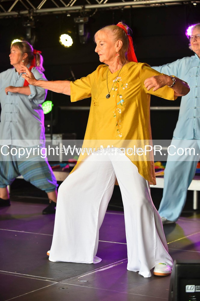 SH4_1356 - Tai Chi with Lisa Kay.