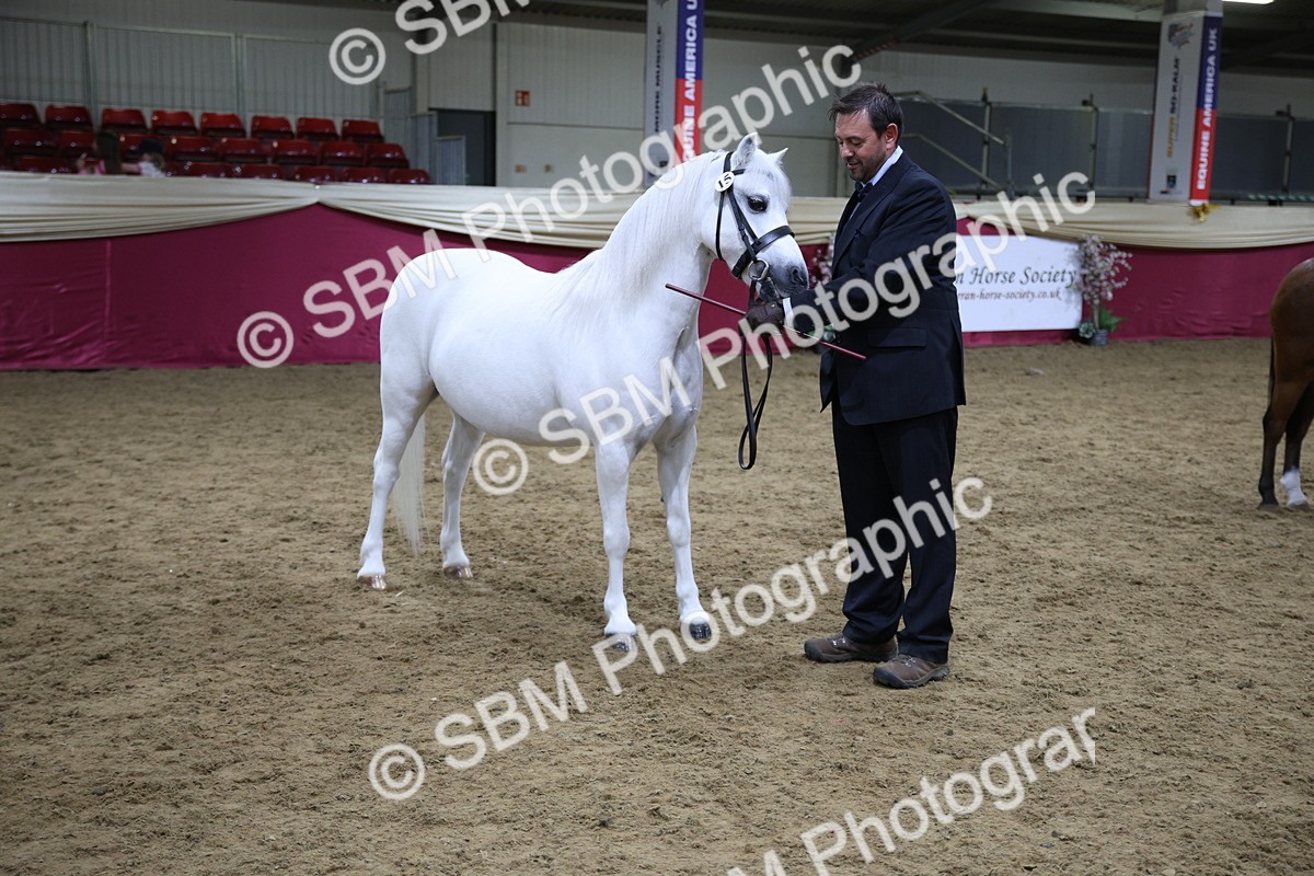 SBM_18615 - Class C Best Turned Out Champ