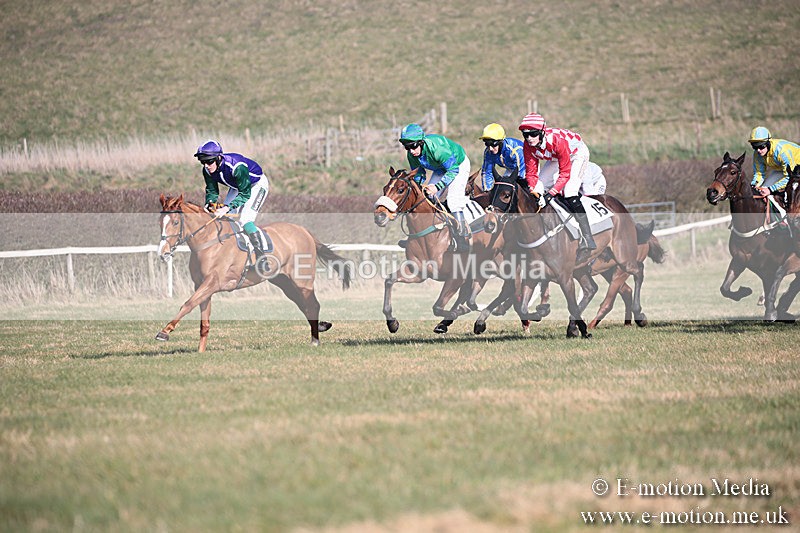 PtP 230219 221 - Vine & Craven Point-To-Point - Barbury 23/02/19