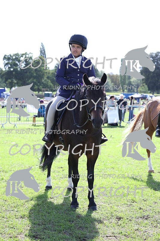 APP_3727 - Class 12 M&M ridden