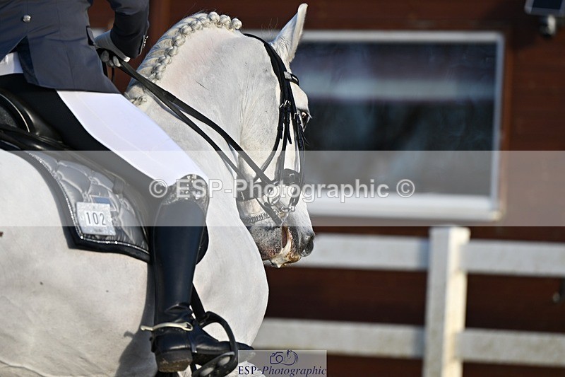 241214-135158-02623 - 102-PAULA.LEE-Deseado.Santo