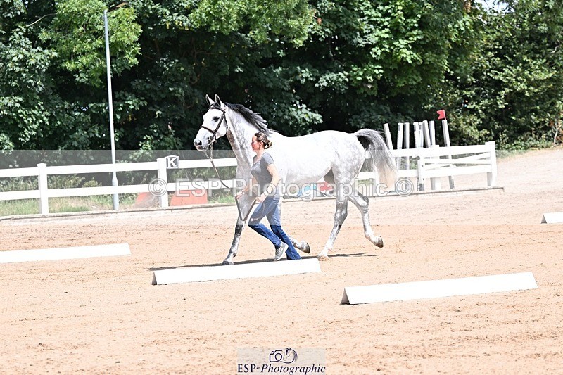 250716-124123-00113 - Trot Up 12.30 to 1.30