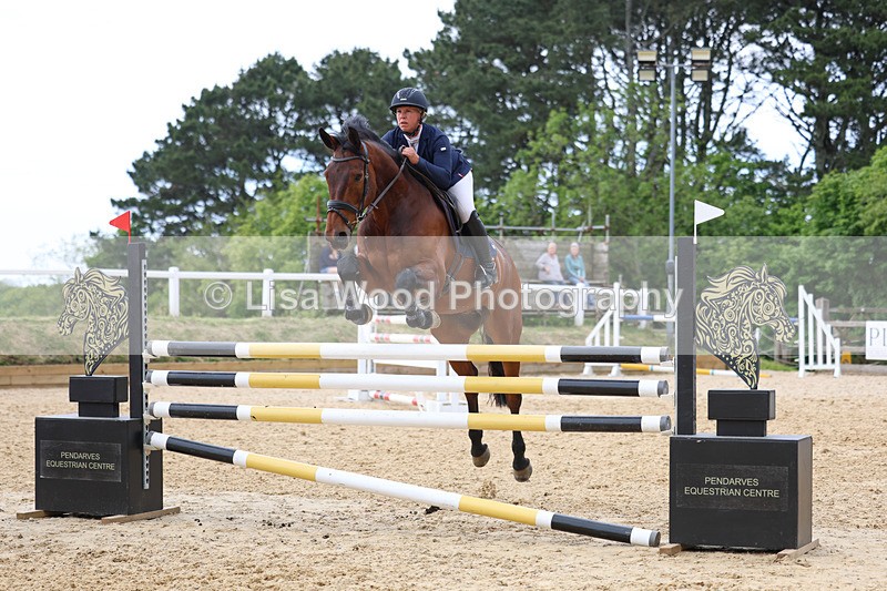 3E7A7886 - Class 8: Senior Foxhunter/1.20 open