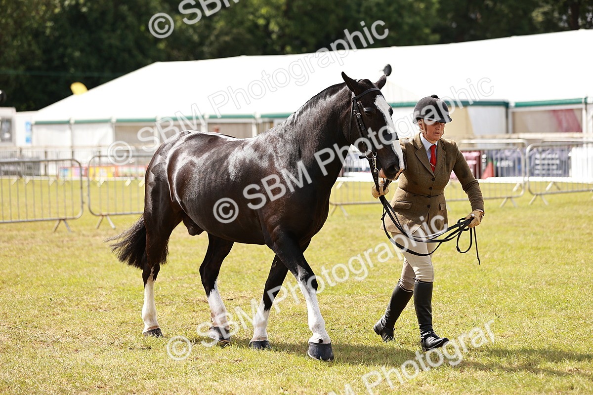 SBM_13132 - Class 85-87 - RIHS Cobs