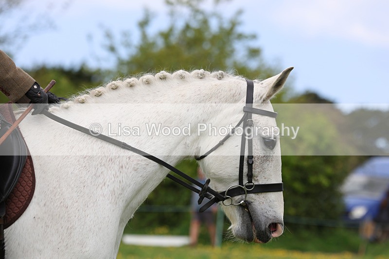 3E7A1242 - Class 7: Ridden Hunter Type