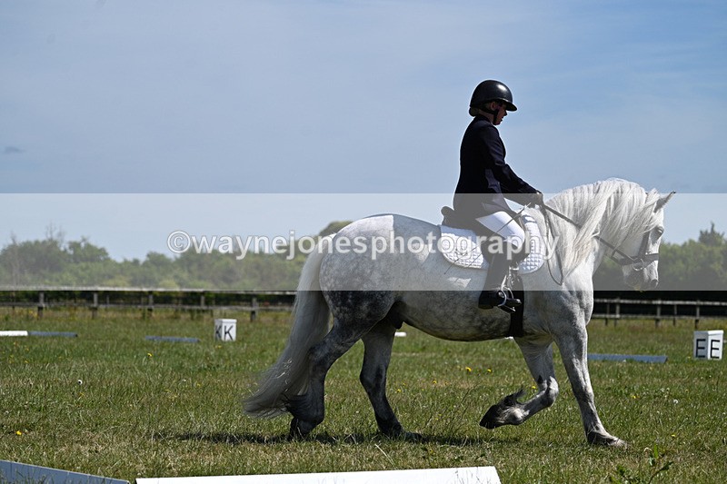 WJ7_8792 - Time 10:19am to 10:35am