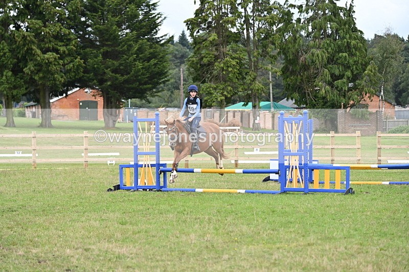 WJ6_1949 - 60cm Time 12:30 to 12:49