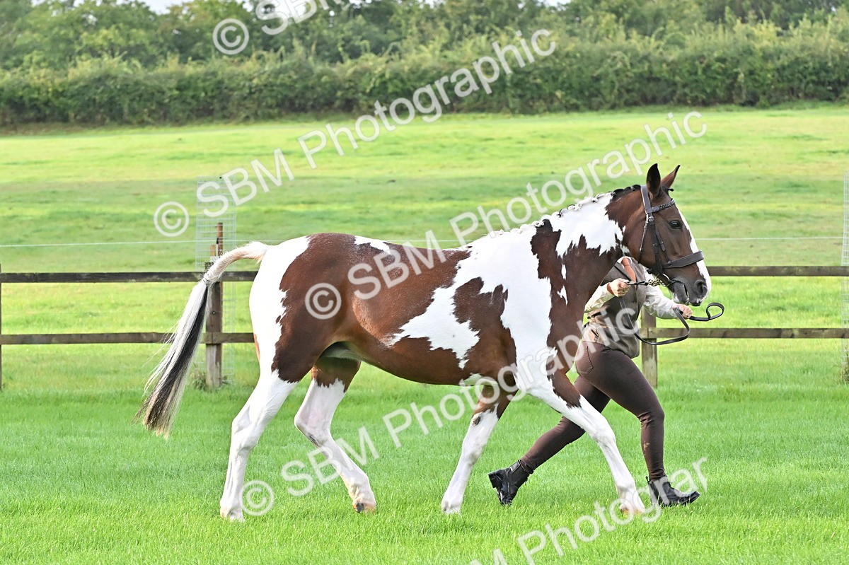 SBM_32623 - S15 - Top Turnout In Hand