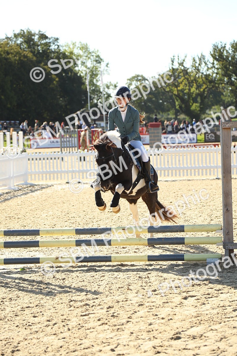 SBM_36010 - J5 - Junior Pony 50cm Championship