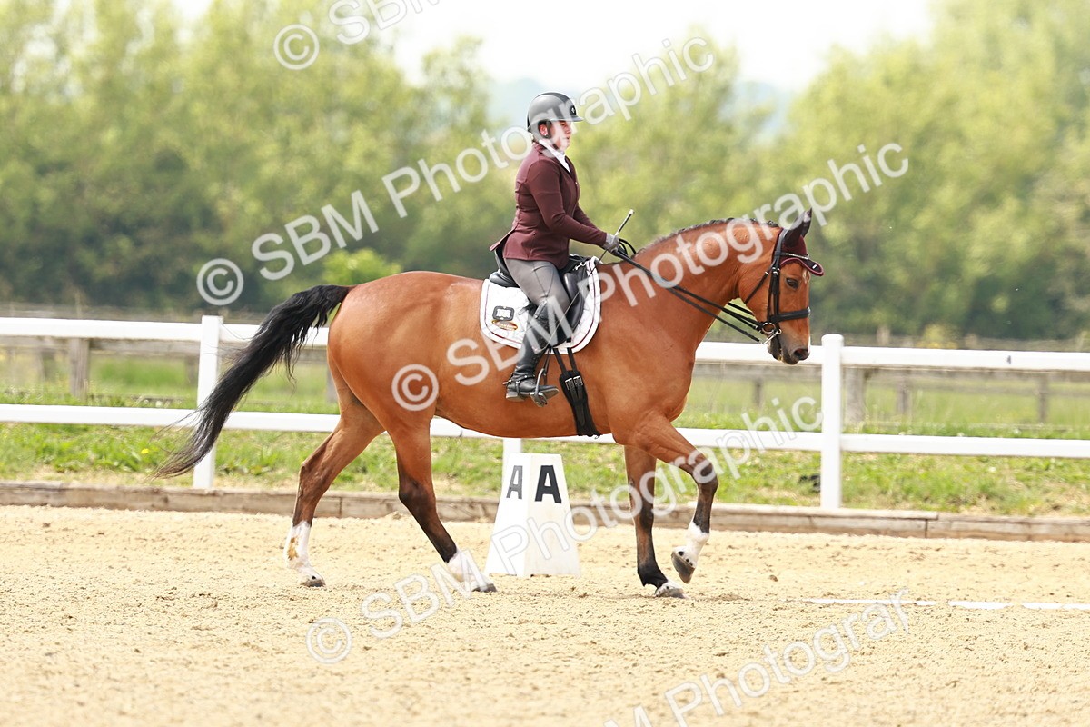 SBM_002827 - Class 12 - Medium 4