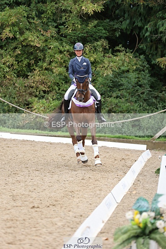 240810-170456-04530 - Elementary Silver