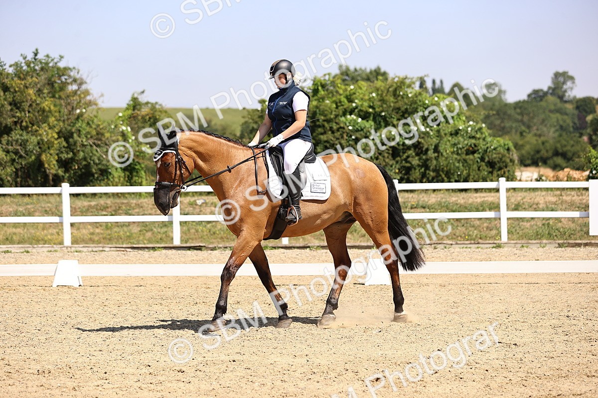 SBM_003989 - Intro 2