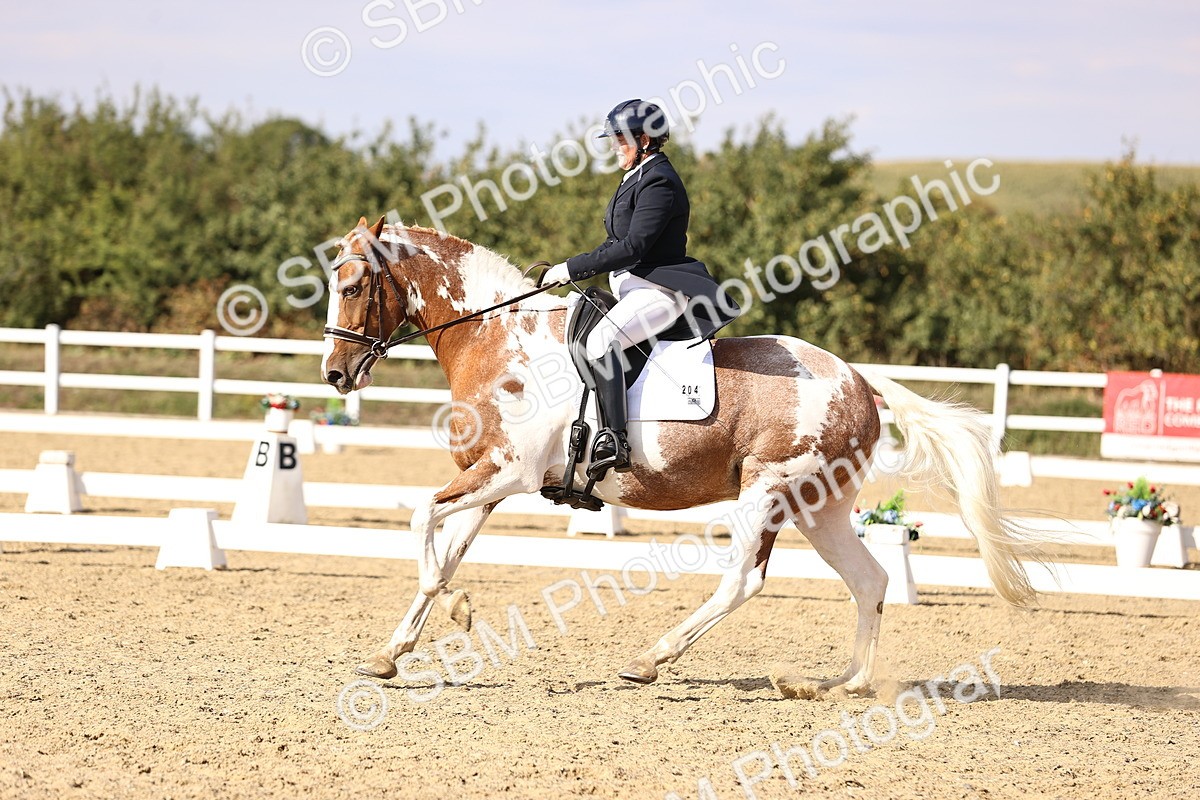 SBM_015462 - Class 11 - FEI PSG