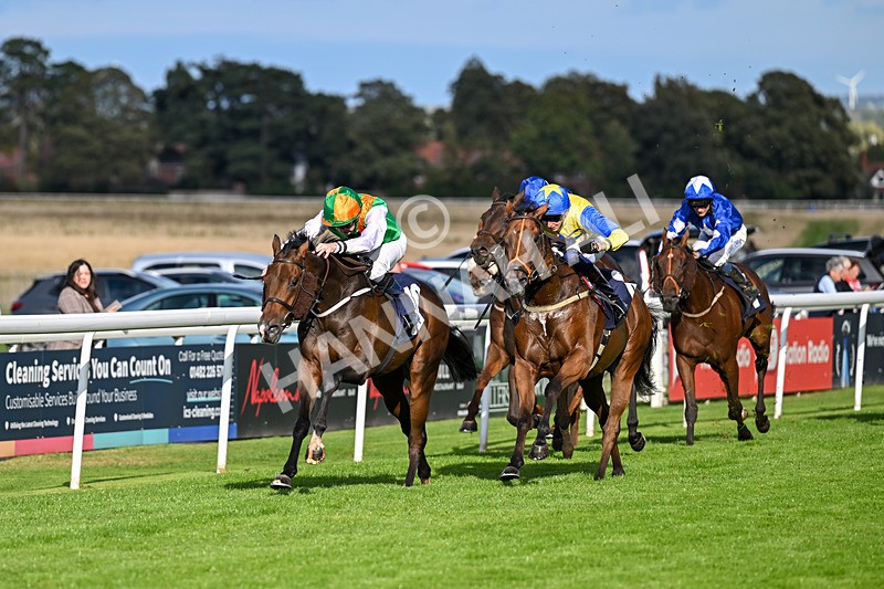 170925-Race 5-Hashtagnotions-5393 - Race 5