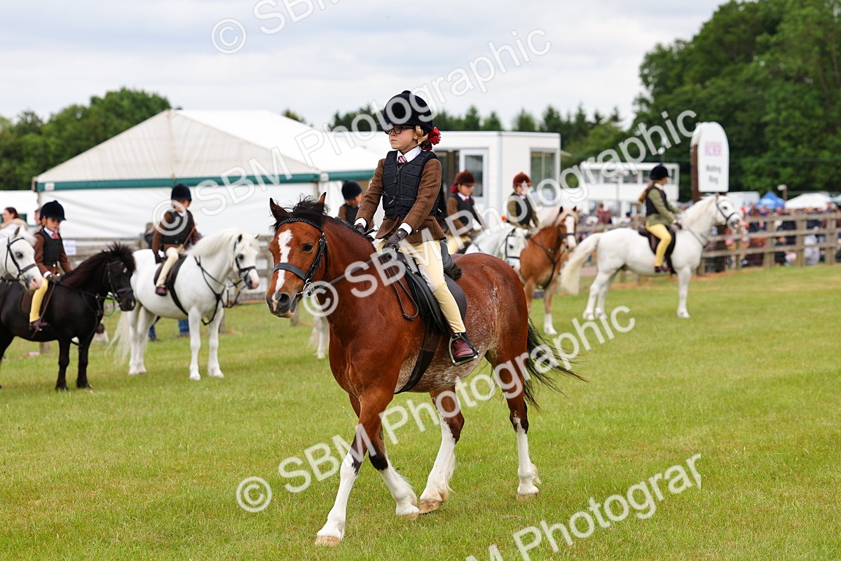 SBM_08780 - Class 42-43 - LIHS BSPS Heritage Working Sports Pony