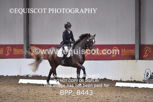 BPP_8443 - NOVICE 6 UNAFF