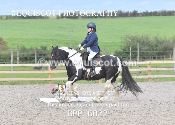 BPP_6022 - PRELIM TEST 5 LONG ARENA