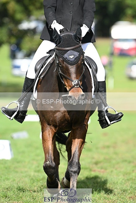 231020-140511-10544 - 494-WEST.FIELD.REBEL-Laura.Bilham-DR