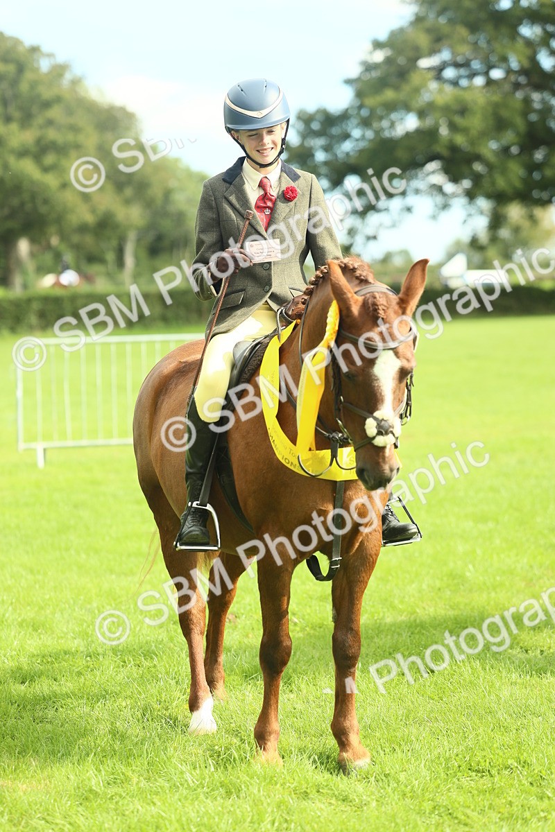 SBM_44822 - S31 - Working Hunter Pony